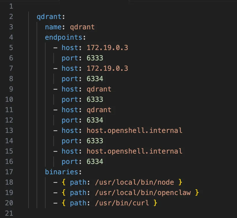 Qdrant network policy configuration